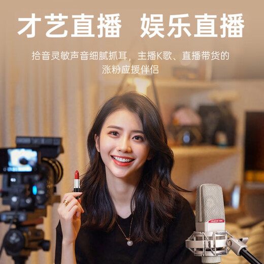 TAKSTAR SM-18 EL Microphone Karaoke Live Broadcast Equipment Professional Recording Singing Microphone Mobile Phone Computer Universal External Sound Card Set SM-18EL Official Standard Blowout Net + SF Express Silver