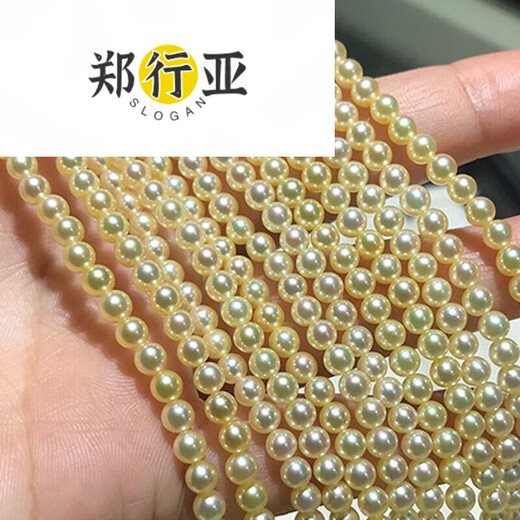 Zheng Xingya akoya seawater pearl necklace light gold/champagne gold round bright shiny silver buckle length adjustable 7-7.5mm