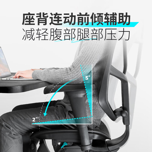 Ergonor Jin Zhuo Xiongying ergonomic chair, cost-effective computer chair, home office chair, gaming e-sports chair, Jin Zhuo Xiongying, silver white net + lying Shubao, not easy to get tired after sitting for a long time