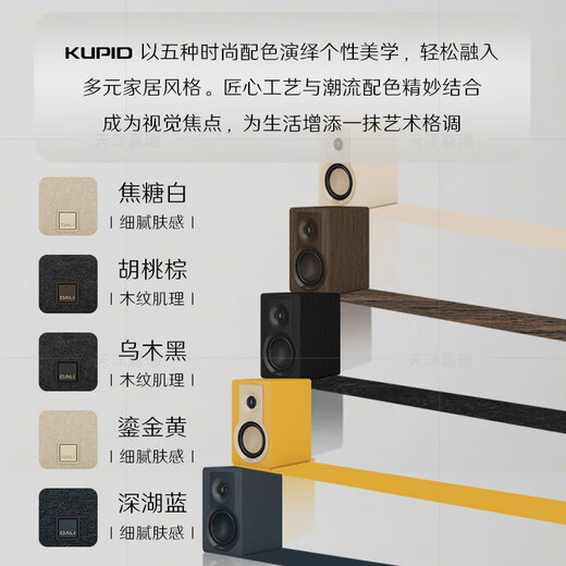 ARGON AUDIO Argo SA1MK2 home audiophile-grade audio sa1 upgraded version digital amplifier hdmi desktop small Bluetooth amplifier Denmark SA1MK2+Dani Cupid (color remarks)