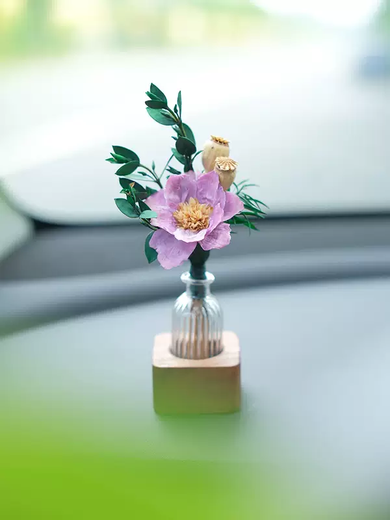 Yusenyi Car Aromatherapy Perfume Creative Dried Flower Plant Car Center Console Aromatherapy Car Interior Decoration High-end Gift White Violet Walnut Aromatherapy Decoration 1g