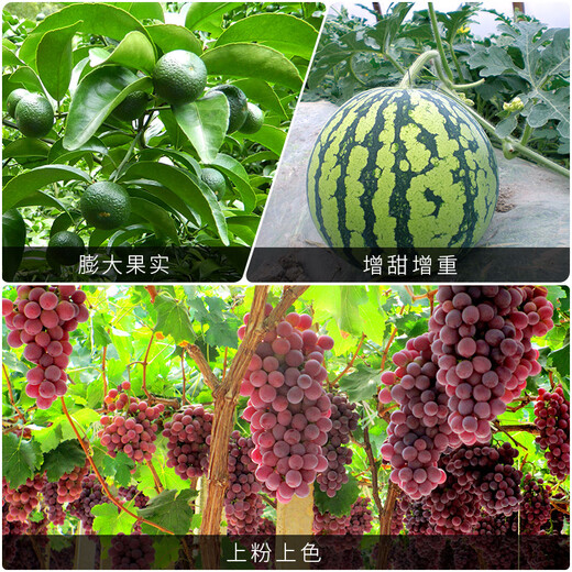 Dugo large-element water-soluble fertilizer high-potassium type potassium fertilizer fruit expansion and sweetening apple cantaloupe citrus grape universal 1 kg * 20 packs