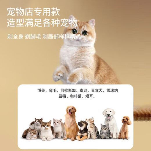 Pet shaver for trimming dogs and cats, electric hair clipper for dogs and cats, golden retriever Teddy pet hair clipper, luxury set (suitable for medium and large pets)