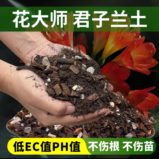 Flower Master Clivia Soil Special Nutritional Soil Clivia Soil Special Nutrient Soil Flower Soil Potting Soil Planting Soil Fertilizer Clivia Soil 7 liters Get 3 gifts and put them under the bag