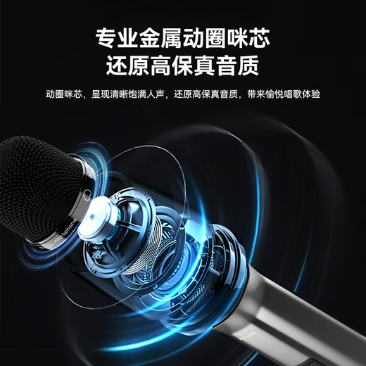 Philips CSS2830 portable wireless microphone one for two multifunctional professional microphone U section home karaoke singer singing special true diversity amplifier audio mixer sound card