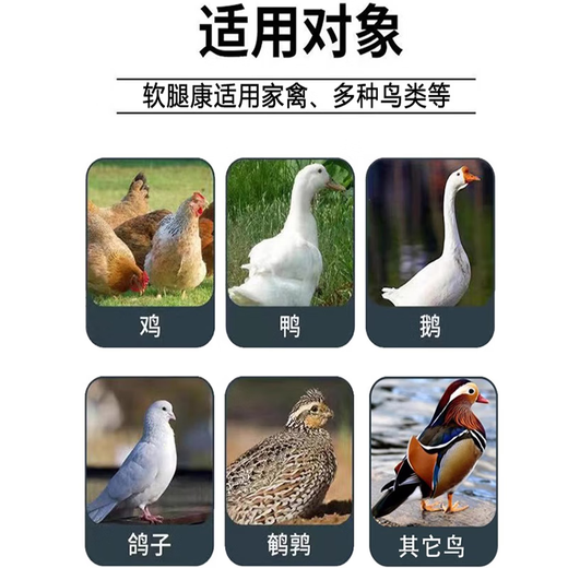 Freeze-dried powder for ducks, chicken, duck and goose diseases, freeze-dried powder, soft foot, lame disease, serositis, anti-viral veterinary breeding medicine, eight bags, used in all farms