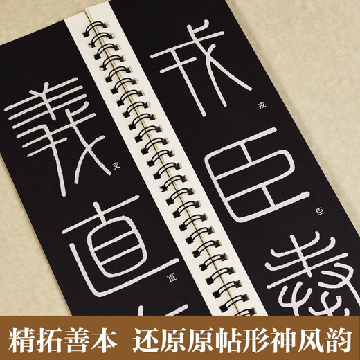 Huaxia Ten Thousand Volumes Li Si Seal Script Yishan Stele Adult HD Close-up Large Character Card Seal Script Stele Copy Soft Pen Brush Calligraphy Copybook Small Seal Script Beginners Basic Copying