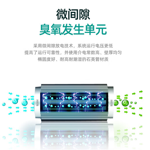 Aijenu 100g oxygen source water treatment ozone generator workshop clean water plant food workshop deodorization sterilization machine 100g air source water-cooled type