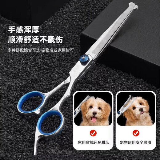 Pet shearing scissors set, grooming special trimming shears, dog hair curved scissors, dog teddy shearing and hairdressing artifact set, straight shear + curved shear + dental scissors + fresh comb + bag