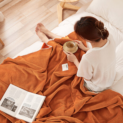 TURBOSUN blanket winter thickened plus velvet single person can sleep naked ins milk plush blanket office nap shawl air conditioner cover waffle milk white Class A cat petting feel does not shed velvet 200x230cm double blanket