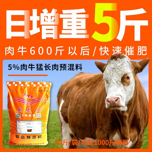 Yonghuan cattle feed 5 fattening beef cattle fattening and weight gain fast fattening