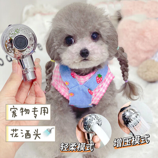 Zhizhou Pet Bathing Shower Head Bathing Artifact Pet Shower Head Supercharged Cat and Dog Household Washing Cat and Dog Pet-Special Shower