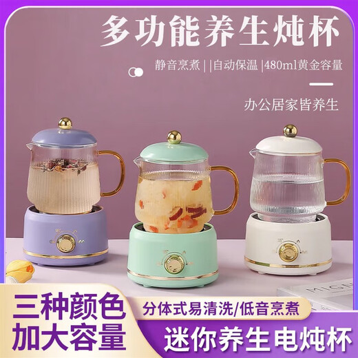 Ten billion subsidies Mid-Autumn Festival gifts new health pot Mid-Autumn gift box multi-functional mini electric stew cup health pot glass electric cup office brewing tea thermos cup mint green 480ml 1L gift box packaging set