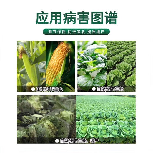Guoguang Youlehong 8% ethyl ethyl ester coloring increases root production, promotes cell division, preserves flowers and fruits, growth regulator 8% ethyl ethyl ethyl 500ml*20 bottles/box
