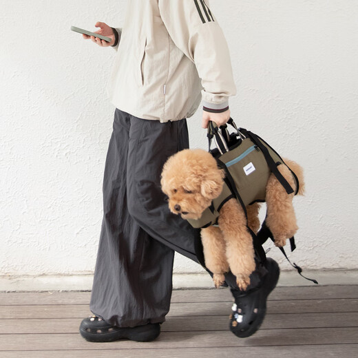 HiDREAM宠物护脊双肩背包宠物横背带外出包小中型犬便携背狗包 陶土棕 S