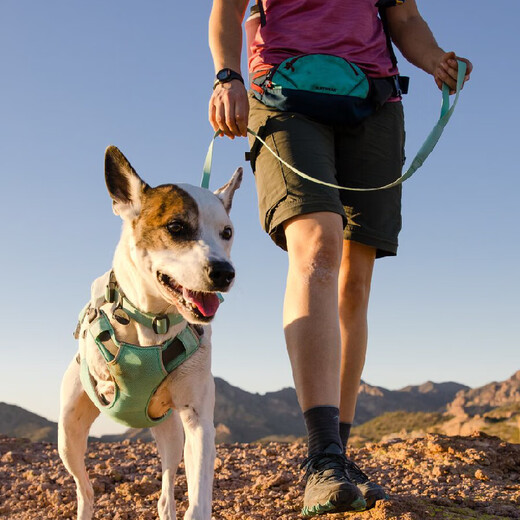 Ruffwell Ruffwear Hi Light Dog Leash Small and Medium-sized Dog Leash Dog Leash Dog Walking Leash Explosion-proof Cute Dog Sage Green/Misty Green