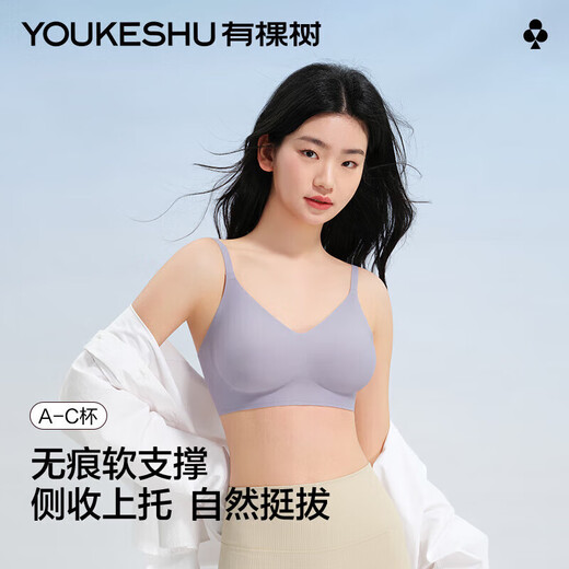 有棵树【软支撑】内衣女无钢圈聚拢提拉收副乳透气无痕美背上托文胸罩