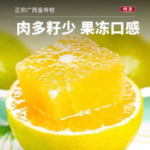 Jingdida Guangxi Emperor Citrus Orange Nettogewicht 4,5 Jin Jin entspricht 0,5 kg Einzelfrucht 60 mm+ Frischfruchtquelle direkt