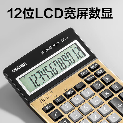 Deli DP571 Voice Calculator (Gold) (Taiwan)