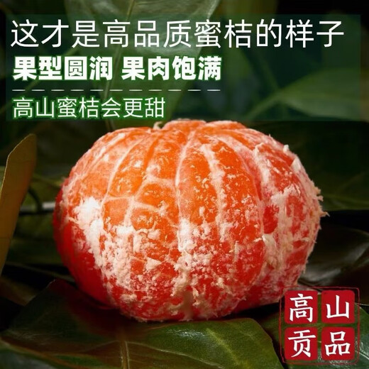 Taste Taizhou Linhai Yongquan Mandarin Oranges 65-80mm Net weight 6.5Jin Jin is equal to 0.5kg No. 1 Member Store Straight from the source