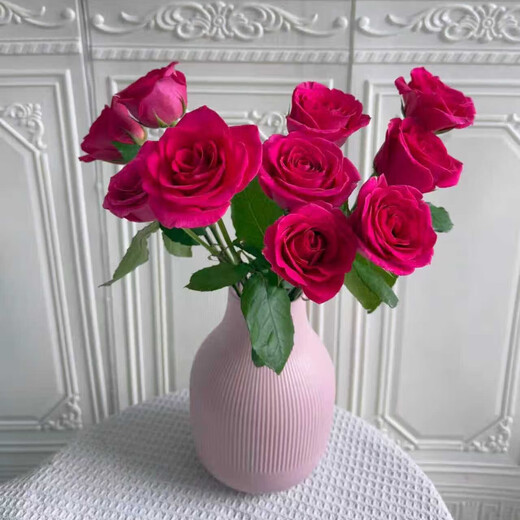 Jingdong Flowers Boutique Soilless Cultivation Roses in Random Colors 20 Pack New Year's Eve and New Year's Day New Year's Eve Gifts 45-50CM Straight from the Source