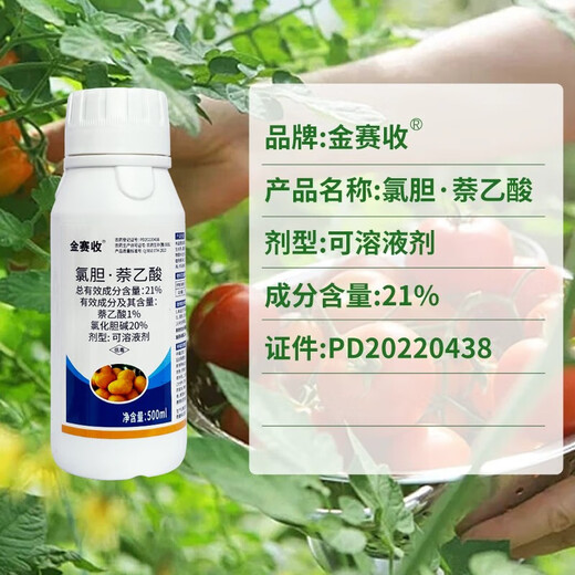 21% Choline Chloride Naphthalene Acetic Acid Expanding Potato Medicinal Ginger Underground Rhizome Tube Yield-increasing Expanding Agent 1000g Dispensed 2 bottles of 500g