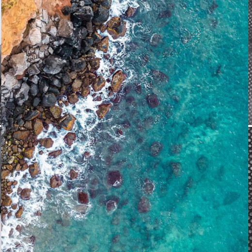 Tuojin imported quality translucent apron from Japan for kitchen household long-sleeved waterproof and oil-proof adult coveralls overalls for killing fish, all-inclusive_no pockets_one size fits all_black