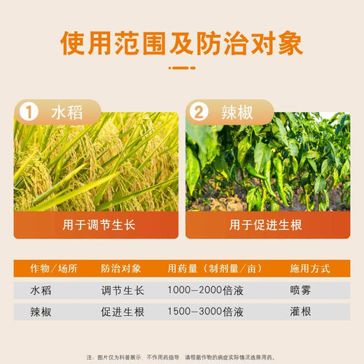 Guoguang Xiancuo 1% Triacontanol + Indolebutyric Acid Rooting Agent Rooting Powder Rice Chili 200g
