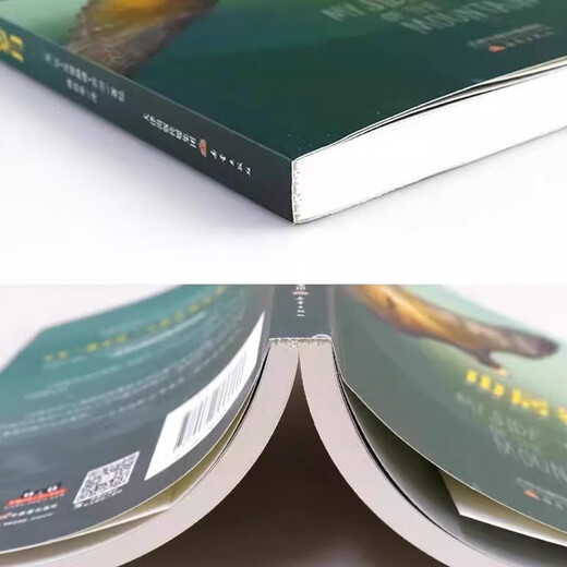 Newbery Gold Medal for Children's Literature, 3 volumes of the Mountain Dwelling Years trilogy, 3 volumes of the Stormy Mountains, Deep Wilderness Survival, fifth grade extracurricular book for primary school students, foreign children's literature, 3 volumes, 3 volumes of the Mountain Dwelling Years series.