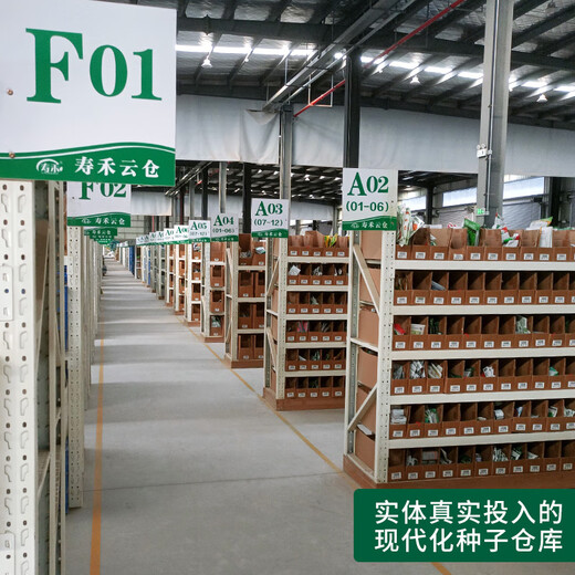 Shouhe Chinese cabbage seed seedlings, winter and spring vegetable seeds for field planting, Weiyu Qiubao cabbage seeds 10g*5 bags