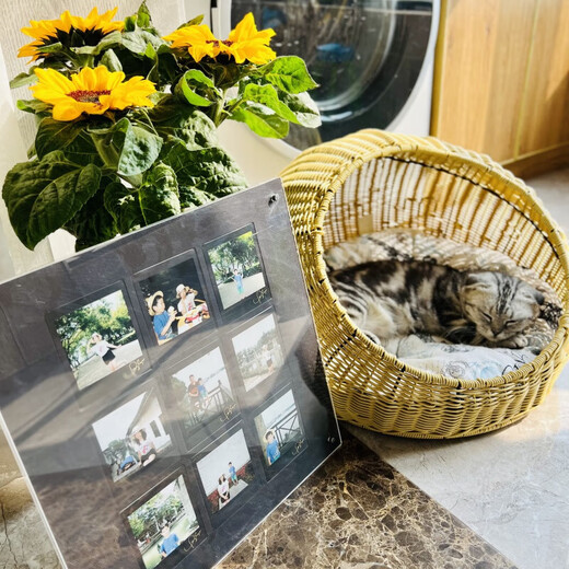 FUJIFILMinstax SQUARE SQ1/SQ40 instant instant camera square composition photo SQ1 four-inch photo paper overseas version