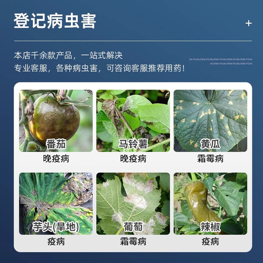 BASF Degen 47% pyraclostrobin dimethomorph tomato pepper grape downy mildew late blight pesticide fungicide 100ml