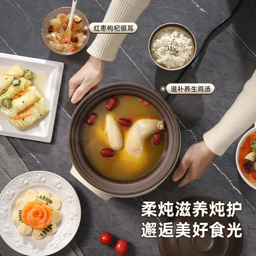Chigo electric stew pot, steamer, electric cooking pot, stew pot, stew pot, casserole, stew and steaming, all-in-one food supplement pot, stew pot, electric stew pot, electric casserole pot, stew pot, stew water-proof porridge, black porcelain - scheduled appointment, suitable for 3-4 people - 3.8L