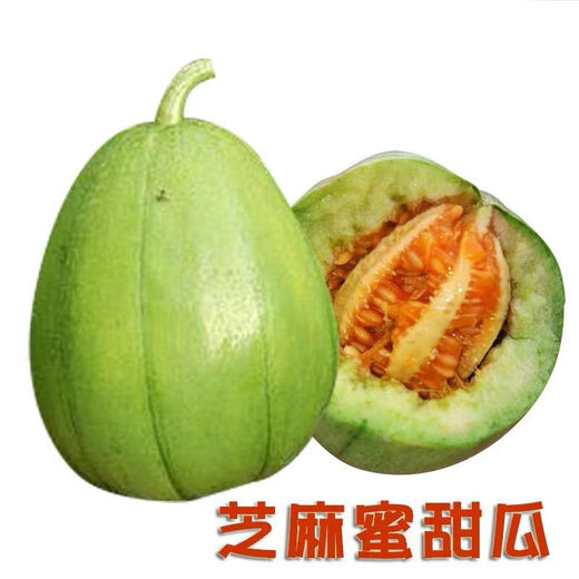 Sesame Honey Crisp Melon Seeds Sweet Toothless Melon Cantaloupe Super Sweet Rock Candy Melon Four Seasons Lazy Indoor Potted Fruit Sesame Honey Melon Seeds 1 pack of about 100 capsules