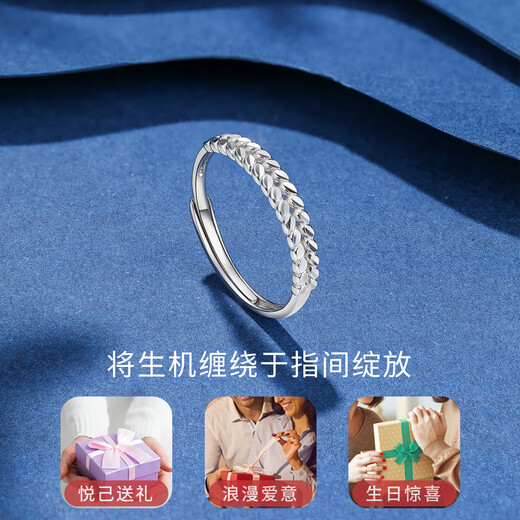 Liuguifu Jewelry pt950 platinum leaf ring, fashionable and versatile platinum open ring for women, birthday gift, Ye Xu, about 2.20g