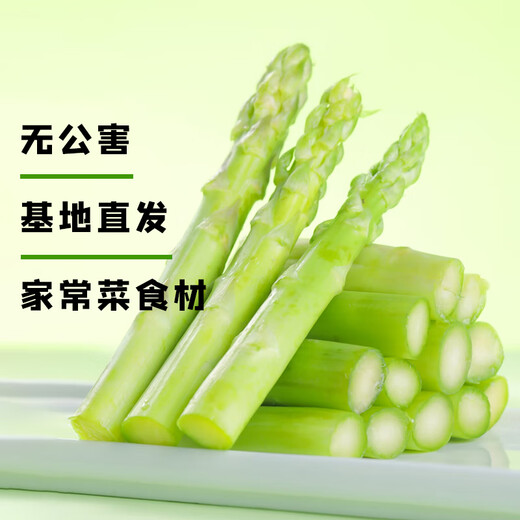 Home of Asparagus First Green Asparagus, Tender Asparagus, Fruit Asparagus, Supermarket Quality Mid-Autumn Festival Steak, Western Food Partner, Intermediate Asparagus, About 0.8 in Diameter, 300g Taste Pack
