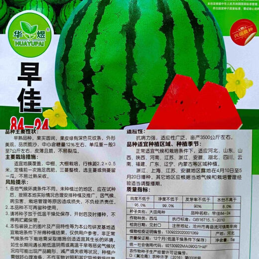 Fruit set, strawberry, cherry tomatoes, croissant, honey, watermelon, balcony potted plants, farmhouse garden melon seeds, all kinds of Lazy Man’s Melon King watermelon seeds, 2 packs, about 100 seeds