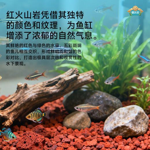 Devodo red volcanic rock 5kg (1-2cm) succulent granular soil paving stone mixed with soil to improve soil gardening soilless cultivation