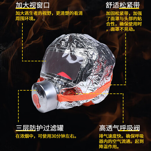 Ruipa (RUIPA) Fire Fire Mask Escape Equipment Fireproof Smokeproof Gas Protective Mask Home Emergency Escape Children's Gas Mask (Adult Model)