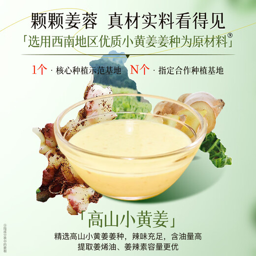 Zhuolanya Ginger Anti-hair Loss Firming Shampoo 800ml*2 (Shampoo Cream Shampoo Unisex)