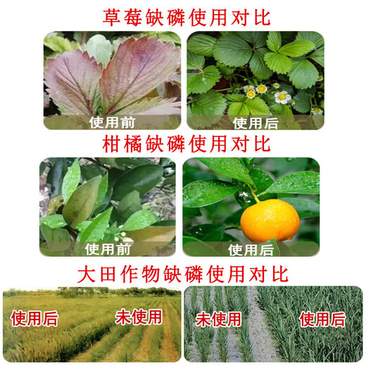High-phosphorus and high-potassium foliar fertilizer water-soluble fertilizer organic water-soluble agricultural fruit tree planting vegetable succulent flower special nitrogen-phosphorus-potassium fertilizer 10 bottles