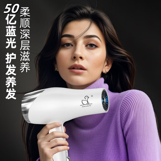 Xiaoya (XIAOYA) 2400W high-power hair salon hair dryer negative ion blue light hair care folding hair dryer powerful high-speed large hair dryer King top version Honor White + 2000W + free air nozzle + foldable 4.5 billion blue light ion hair care typhoon-level wind movement