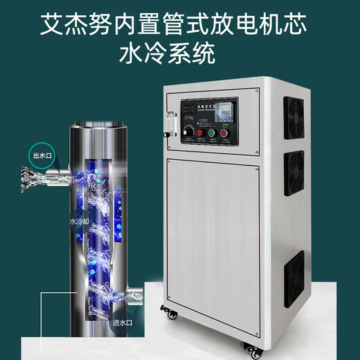 Aijenu 100g oxygen source water treatment ozone generator workshop clean water plant food workshop deodorization sterilization machine 100g air source water-cooled type