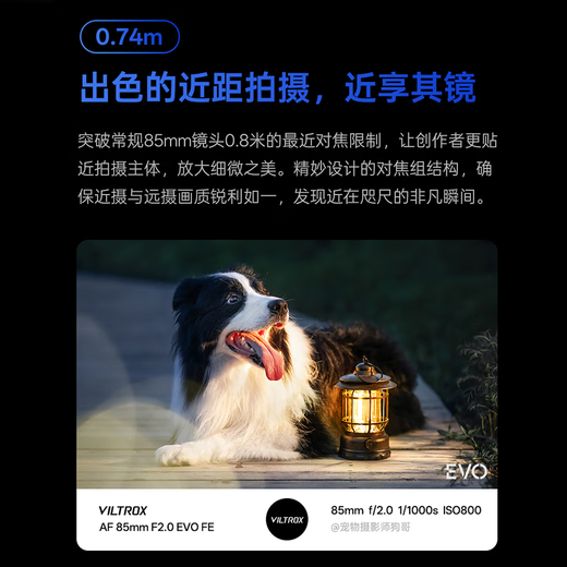 Viltrox new product AF 85mm F2.0 EVO full-frame autofocus lens 85f2 large aperture lightweight Z mount gold portrait suitable for FE mount mirrorless cameras AF 85mm F2.0 EVO FE (Sony port)