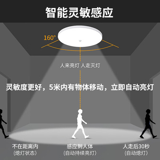 Baishian Fire Emergency Lighting Emergency Ceiling Light Evacuation Channel Lighting Corridor Shopping Mall Power Outage Emergency Light 30CM Induction Model 12W