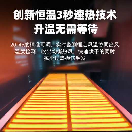 PEISIMA Intelligent Constant Temperature Pet Drying Box for Cats and Dogs Bathing and Drying Artifact British Short Ragdoll Bichon Blowing Water to Prevent Colds H9 Upgraded Model Quiet 6D Comfortable Drying + Negative Ions + Soothing Window