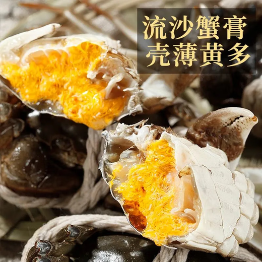 【礼盒装】公母对鲜活蟹黄世家兴化红膏大闸蟹当天发货次日达包邮 公3两+母2两 5对10只