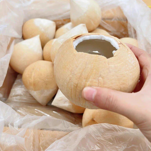 Imported Milky Coconut Royal Coconut Seasonal Fresh Fruit Green Coconut Milky Fragrance Rich and Sweet Taste King of Cost-Effectiveness Coconut King 9 pieces come with soft knife Large fruit single fruit 400-500g