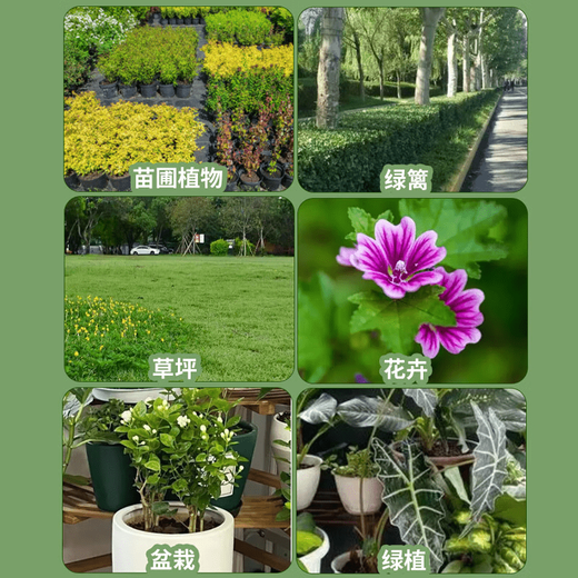 Nitrogen, phosphorus and potassium garden greening special water-soluble compound fertilizer slow-release fertilizer for lawn seedlings, flowers and big trees phytochemical fertilizer 20 kg * 10 bags