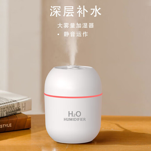 2025 New Cute Mini Aromatherapy Humidifier Silent Humidification Desktop X5 Clover Humidification Mini USB Sprayer 1 Pack Multifunctional Humidifier
